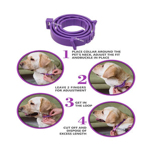 38/62cm Pet Calm Collar Relieve Anxiety Cat And Dog Pacify Adjustable TPR Neck Strap Remove Restlessness Protection Pet Supplies