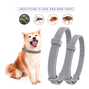 1/2/3PCS Adjustable Dog & Cat Collar Flea & Tick Prevention Pet Collar Pest Control Rubber Flea Killer Collar Pet Cat