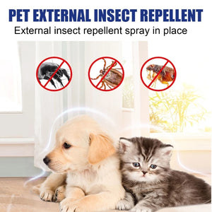 100ml Fleas for Cats Powerful Prevention and Control for Ticks Fleas Eggs Fleas and Ticks Prevention for Dogs