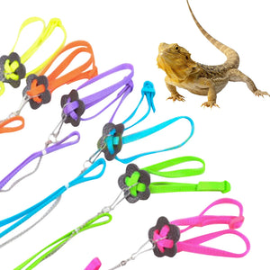 Adjustable Reptile Lizard Harness Leash Training Walking Rope Pet Leash Anti-Bite Harness Leash Pet Collar Chest Strap Lizard