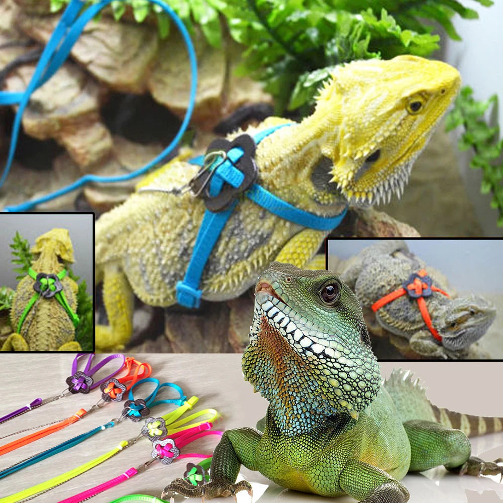 Adjustable Reptile Lizard Harness Leash Training Walking Rope Pet Leash Anti-Bite Harness Leash Pet Collar Chest Strap Lizard