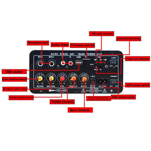 220V 12V Digital Bluetooth Amplifier Board Subwoofer Dual Microphone Karaoke Amp Speaker Home Theater DIY Rechargable Version