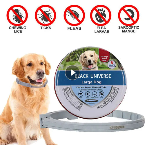 Adjustable Dog Cat Collar Pest Control Protect Rubber Flea Killer Flea Tick Prevention Anti-mosquito Insect Pet Cat Accessories