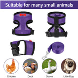 Adjustable Chicken Harness Duck Vest Hen Belt Pet Harness Matching Collars Bow Leads Mesh Breathable Poultry Supplies Leash