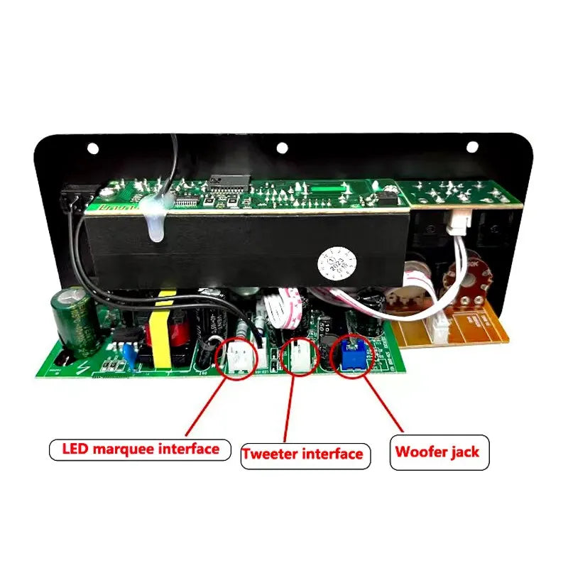 220V 12V Digital Bluetooth Amplifier Board Subwoofer Dual Microphone Karaoke Amp Speaker Home Theater DIY Rechargable Version