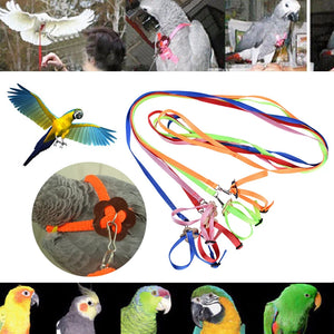 Adjustable Pet Parrot Traction Strap Anti-bite Training Rope Outdoor Rope Hamster Turtle Lizard Pet Leash Bird Collar Harness