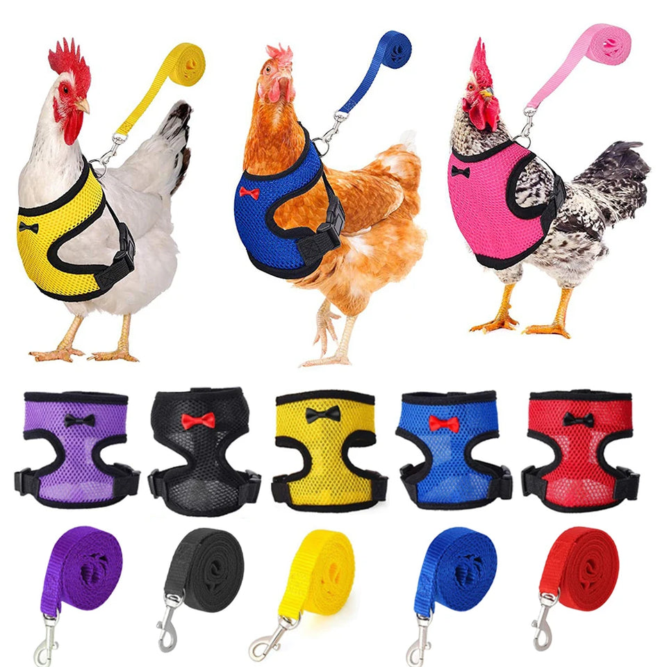 Adjustable Chicken Harness Duck Vest Hen Belt Pet Harness Matching Collars Bow Leads Mesh Breathable Poultry Supplies Leash