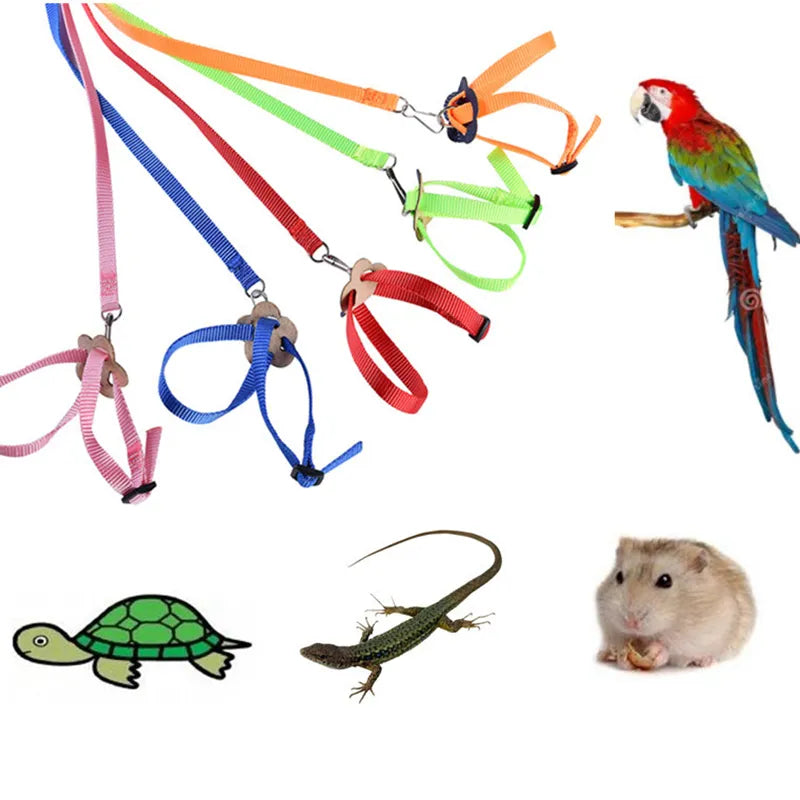 Adjustable Pet Parrot Traction Strap Anti-bite Training Rope Outdoor Rope Hamster Turtle Lizard Pet Leash Bird Collar Harness